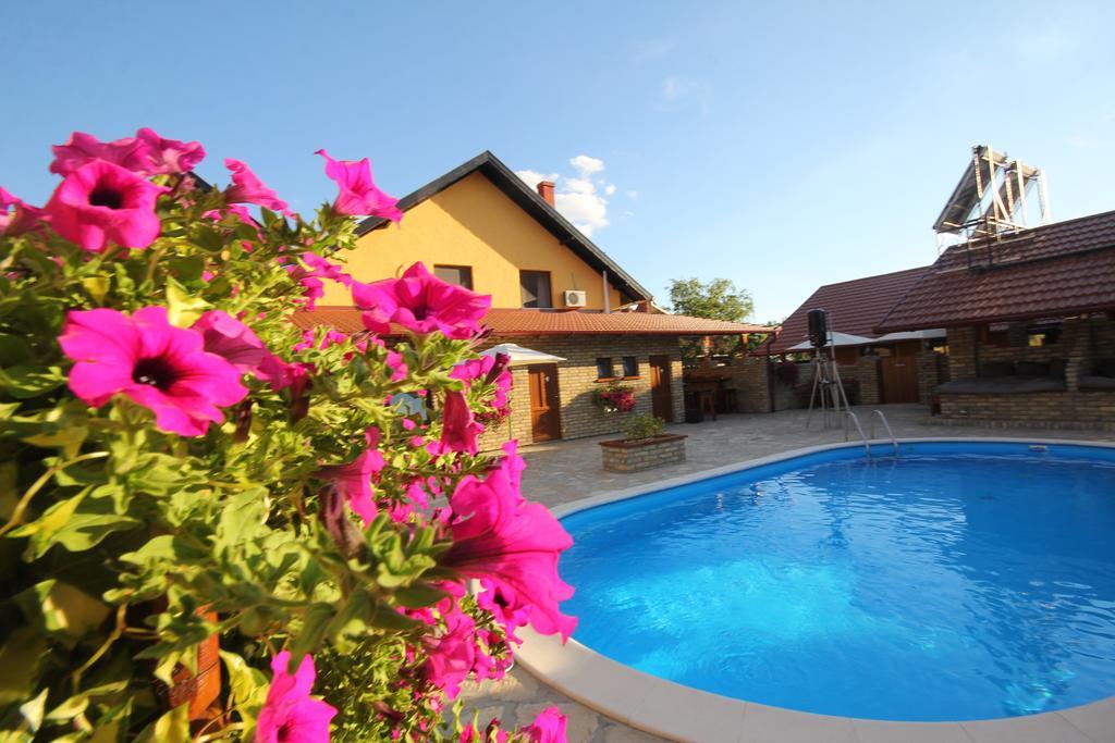 Guest House Vila Alexandar Palić Exterior foto